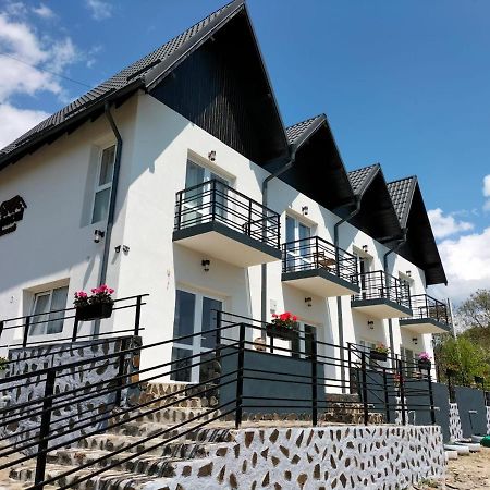 Conacul Doamnei Nucsoara Hotel Luaran gambar