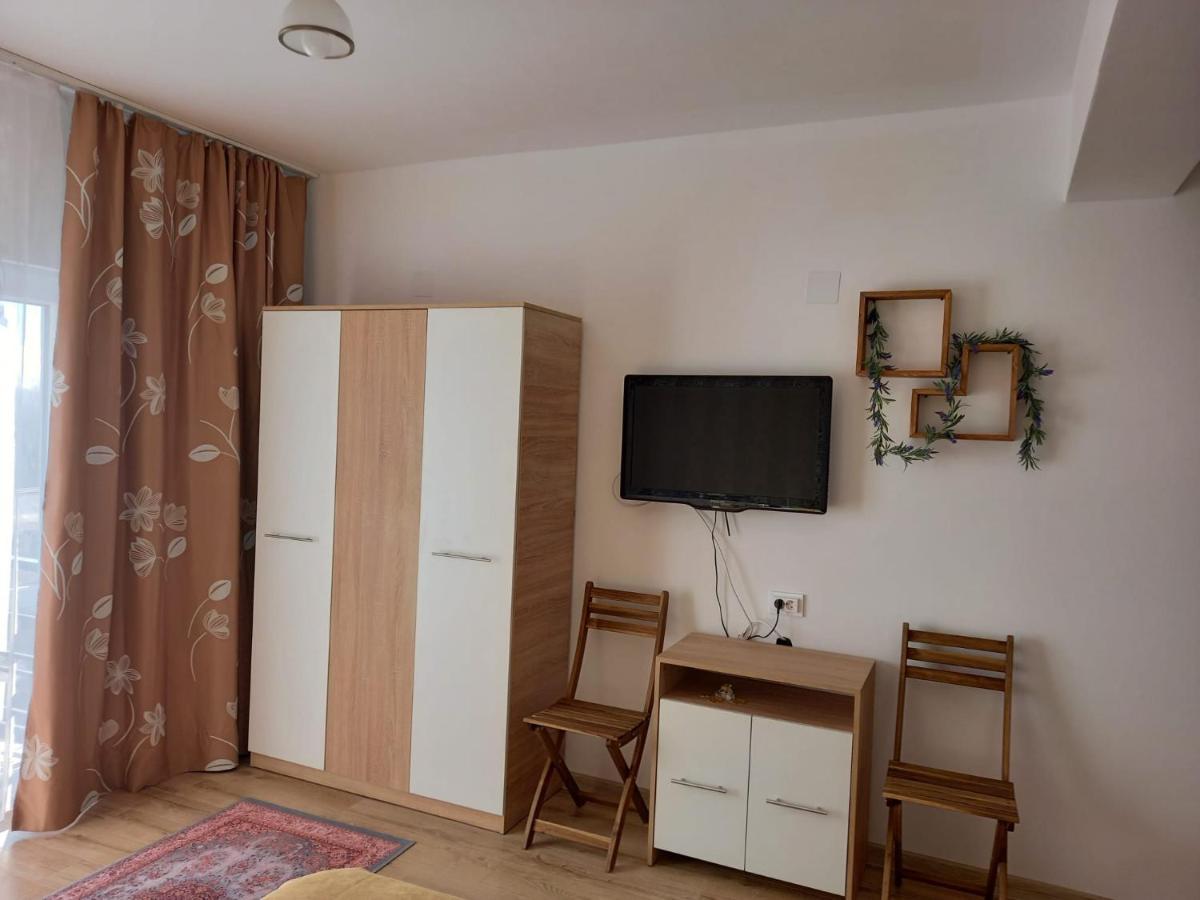 Conacul Doamnei Nucsoara Hotel Luaran gambar