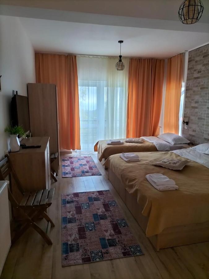 Conacul Doamnei Nucsoara Hotel Luaran gambar