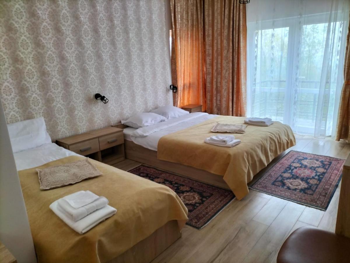 Conacul Doamnei Nucsoara Hotel Luaran gambar