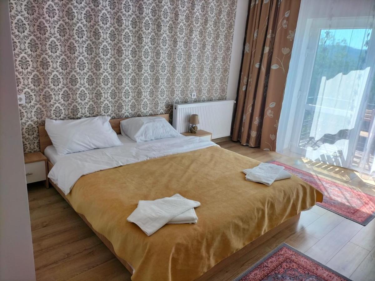 Conacul Doamnei Nucsoara Hotel Luaran gambar
