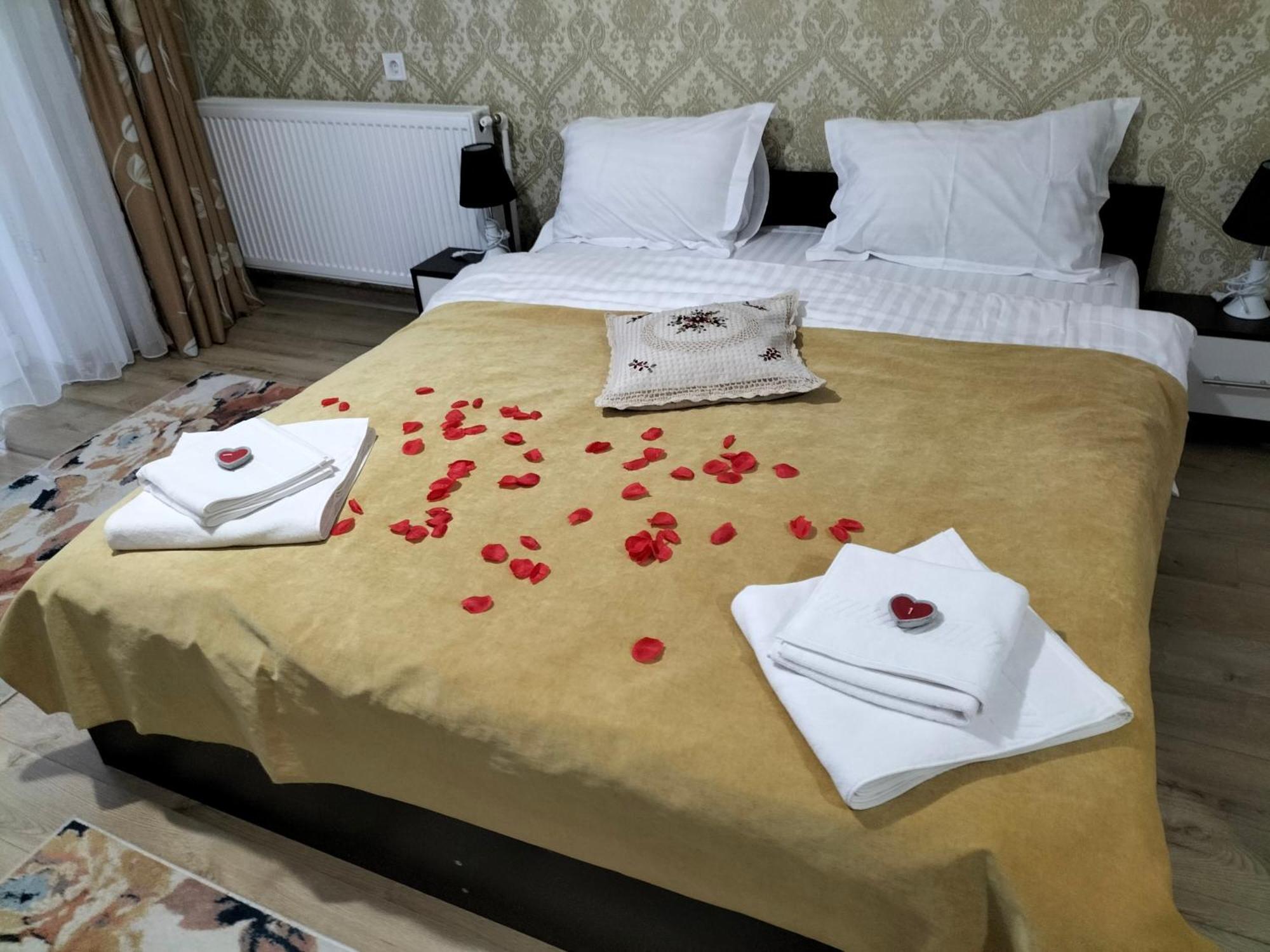 Conacul Doamnei Nucsoara Hotel Luaran gambar